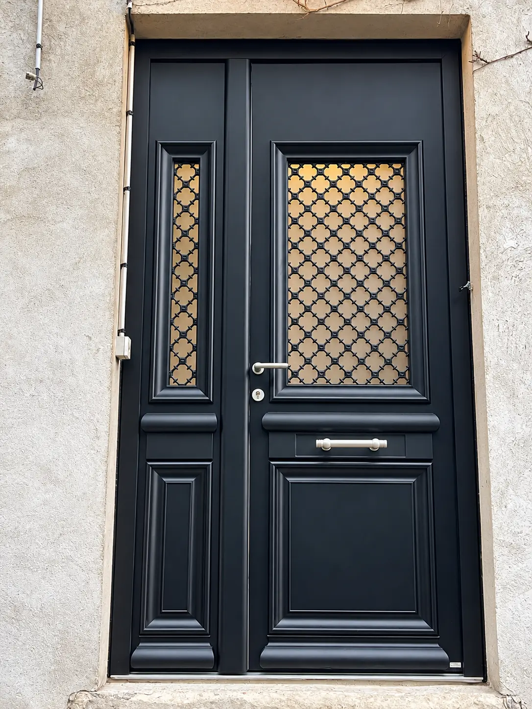 Porte sombre à deux vantaux avec grilles décoratives